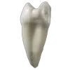 🦷 Эмодзи «Wake Up» для Telegram