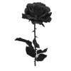 🌹 Эмодзи «Perfect Winter» для Telegram