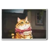 🐈 Эмодзи «НейроКоты» для Telegram