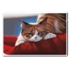 🐈 Эмодзи «НейроКоты» для Telegram