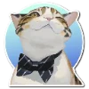 🐈 Эмодзи «НейроКоты» для Telegram