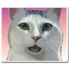 🐈 Эмодзи «НейроКоты» для Telegram
