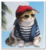 🐈 Эмодзи «НейроКоты» для Telegram