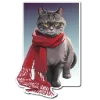 🐈 Эмодзи «НейроКоты» для Telegram
