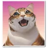 🐈 Эмодзи «НейроКоты» для Telegram
