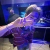 🌟 Эмодзи «Niki ー» для Telegram