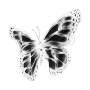 🤩 Эмодзи «Ningning ー» для Telegram