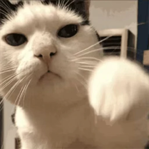 😾 Стикер «Laincore» для Telegram