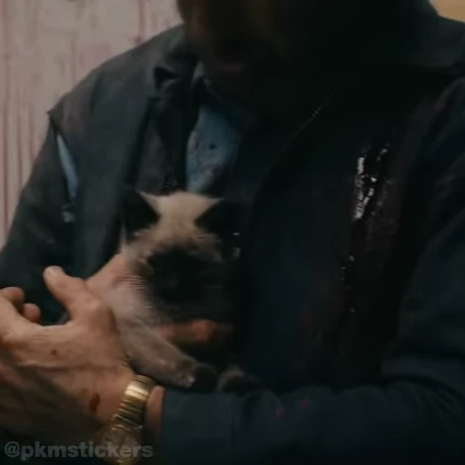 🐱 Стикер «Nobody» для Telegram