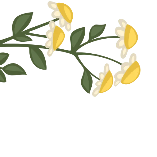💐 Эмодзи «ɳσѡɼυʑѕρɼɩɳɠ» для Telegram