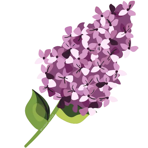💐 Эмодзи «ɳσѡɼυʑѕρɼɩɳɠ» для Telegram