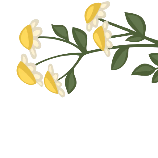 💐 Эмодзи «ɳσѡɼυʑѕρɼɩɳɠ» для Telegram