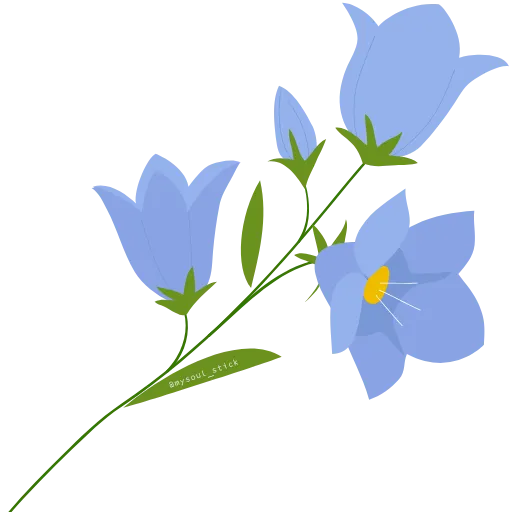 💐 Эмодзи «ɳσѡɼυʑѕρɼɩɳɠ» для Telegram