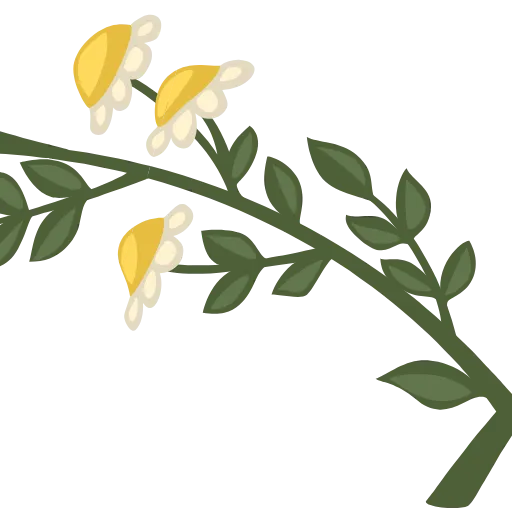 💐 Эмодзи «ɳσѡɼυʑѕρɼɩɳɠ» для Telegram