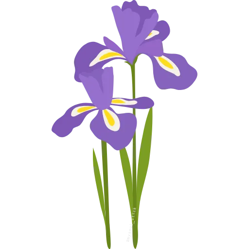 💐 Эмодзи «ɳσѡɼυʑѕρɼɩɳɠ» для Telegram