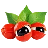 🍇 Эмодзи «#food» для Telegram