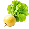 🥕 Эмодзи «#food» для Telegram