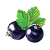 🫐 Эмодзи «#food» для Telegram