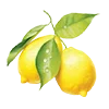 🍋 Эмодзи «#food» для Telegram