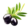 🫒 Эмодзи «#food» для Telegram