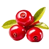 🍒 Эмодзи «#food» для Telegram