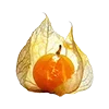 🫐 Эмодзи «#food» для Telegram