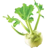 🥬 Эмодзи «#food» для Telegram