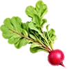 🥕 Эмодзи «#food» для Telegram