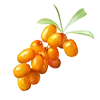 🍇 Эмодзи «#food» для Telegram