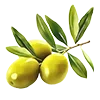 🫒 Эмодзи «#food» для Telegram