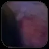 🖕 Эмодзи «Дуров #other» для Telegram