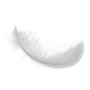 ☁️ Эмодзи «White #white #color #cute #status» для Telegram