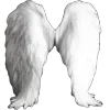 🪽 Эмодзи «White #white #color #cute #status» для Telegram