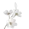 🤍 Эмодзи «White #white #color #cute #status» для Telegram