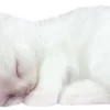 🤍 Эмодзи «White #white #color #cute #status» для Telegram