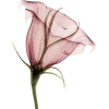 🤩 Эмодзи «ᥴ᥆ᥣ᥆rs ︎» для Telegram