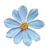 🤩 Эмодзи «ᥴ᥆ᥣ᥆rs ︎» для Telegram
