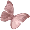 🤩 Эмодзи «ᥴ᥆ᥣ᥆rs ︎» для Telegram
