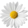 🤩 Эмодзи «ᥴ᥆ᥣ᥆rs ︎» для Telegram