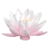 🤩 Эмодзи «ᥴ᥆ᥣ᥆rs ︎» для Telegram