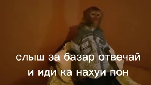 🐒 Стикер «Обезяны гифки» для Telegram
