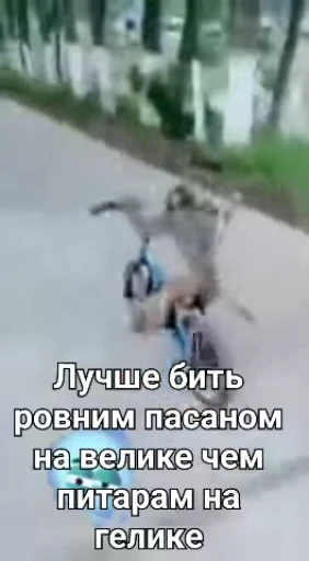 🌟 Стикер «Обезяны гифки» для Telegram