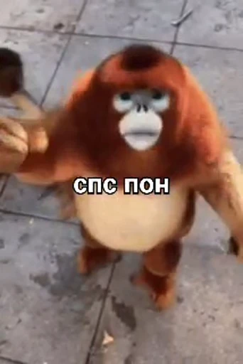 🐒 Стикер «Обезяны гифки» для Telegram