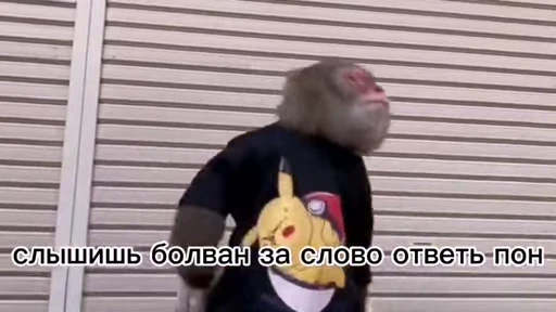 🐒 Стикер «Обезяны гифки» для Telegram