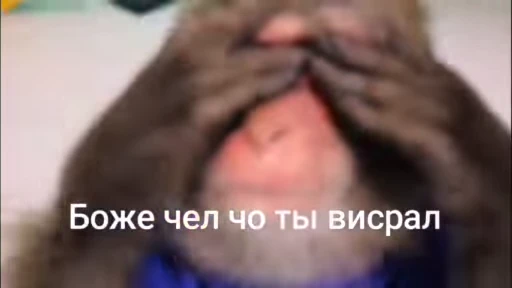 😁 Стикер «Обезяны гифки» для Telegram