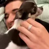 🥰 Эмодзи «Obla» для Telegram