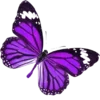 🦋 Эмодзи «Decoration» для Telegram