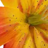 🤩 Эмодзи «Orange» для Telegram