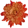🤩 Эмодзи «Orange» для Telegram