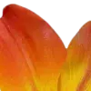 🤩 Эмодзи «Orange» для Telegram
